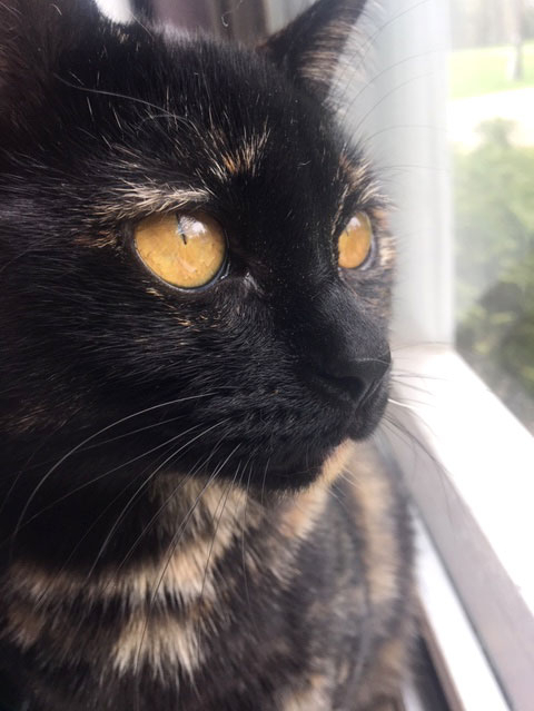 Bri Beldavs9 Focused