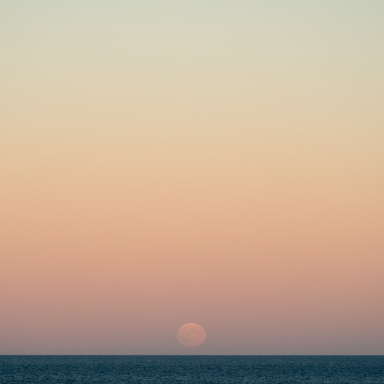 Chestnut Moon I Jim Nickelson