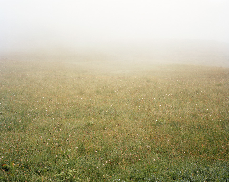Meadow18