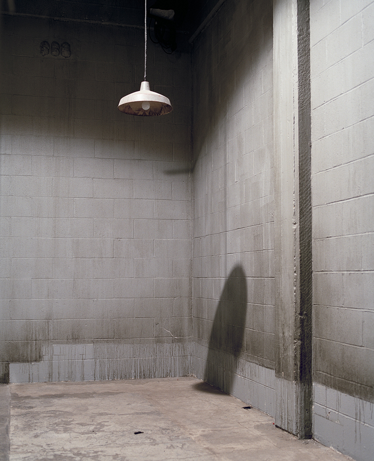 Elizabeth Moran Lights Shadow