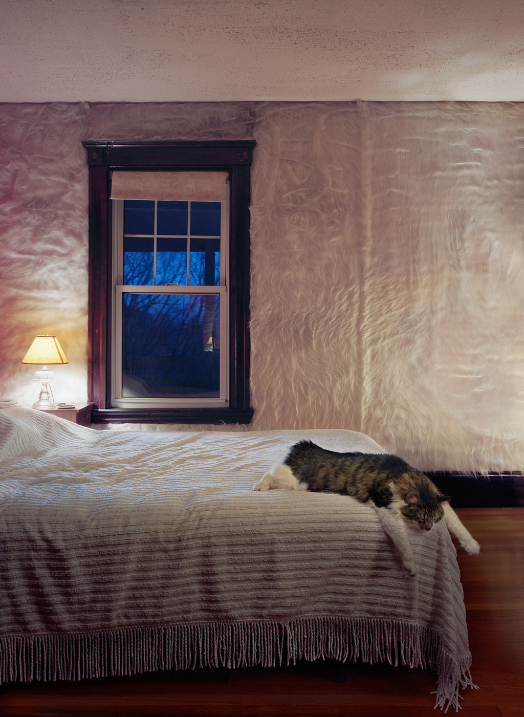 Furwall
