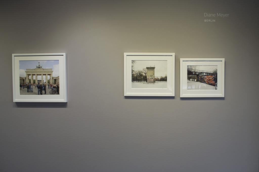 Diane Meyer Install07