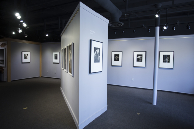 Horan Installation16