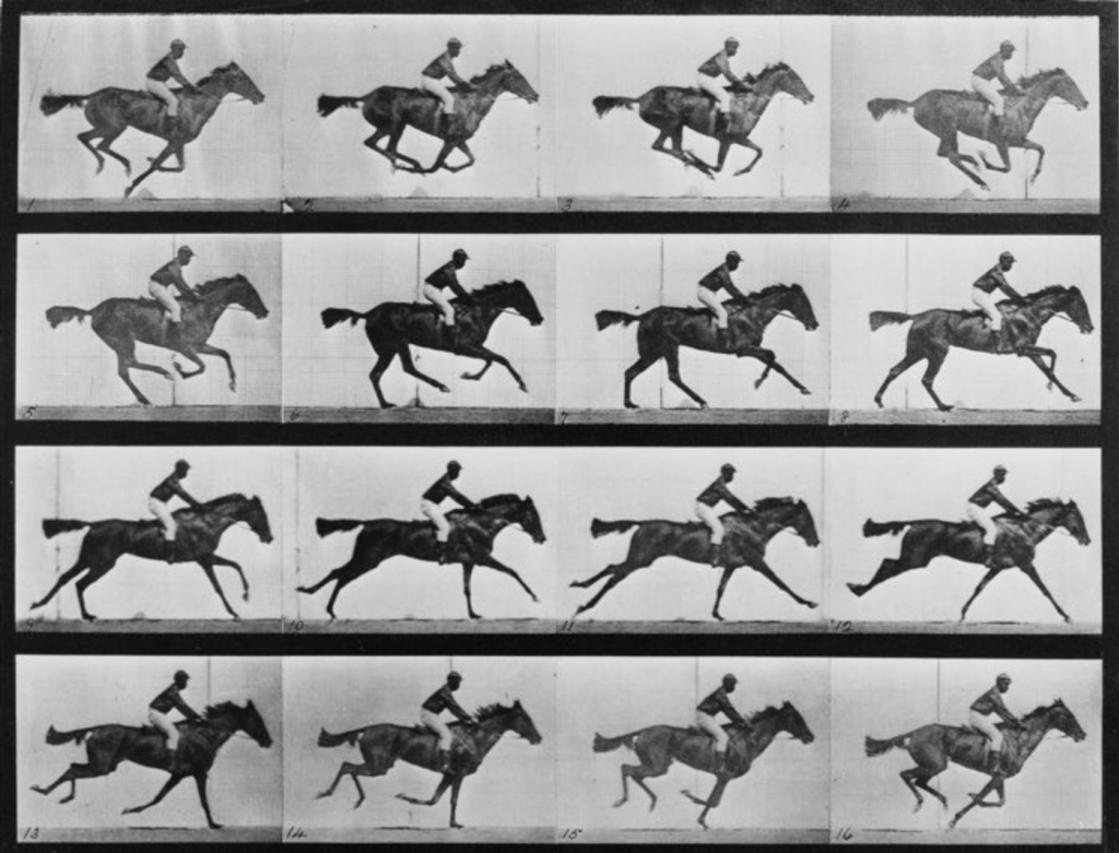 04 Eadweard Muybridge Horsein Motion