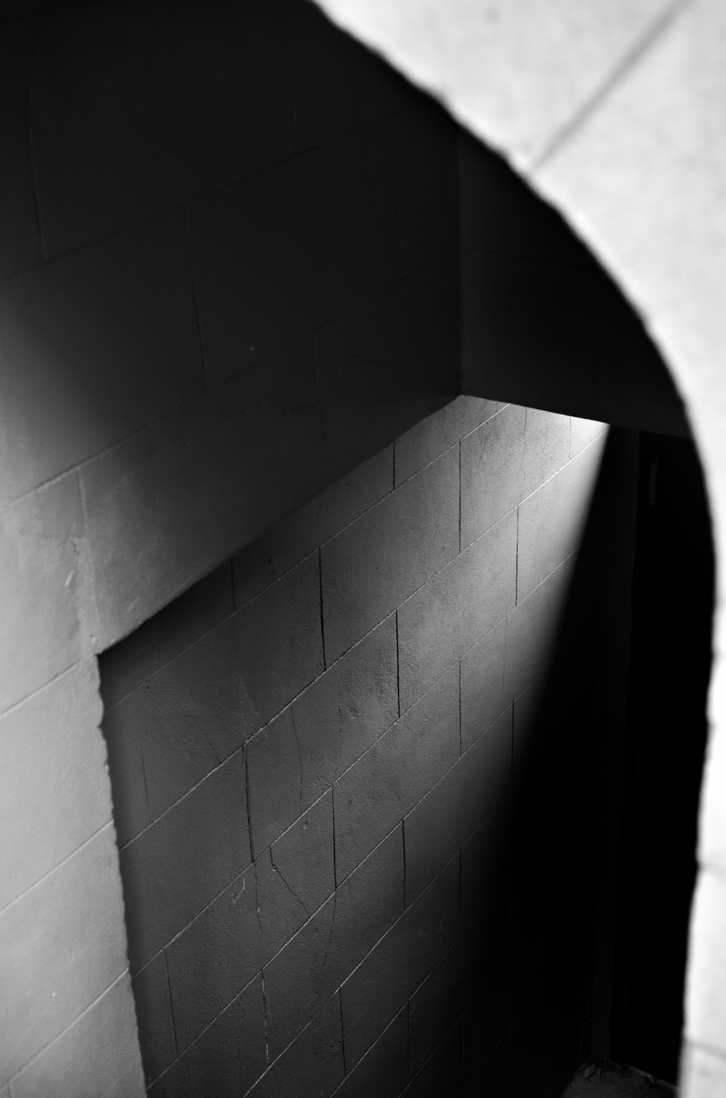 L1003251 Edit