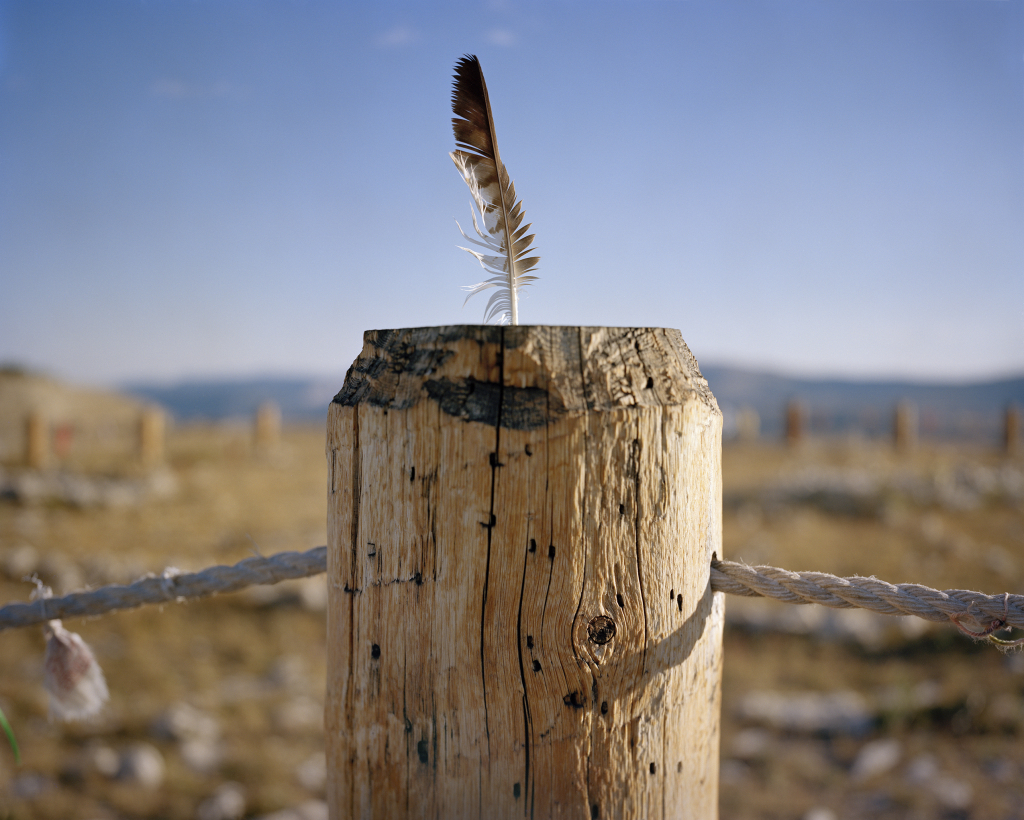 01 Eagle Feather Medicine Wheel
