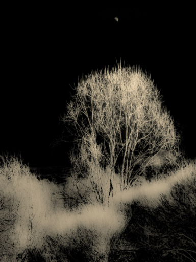 Francisco Gonzalez Camacho Elsewhere 4